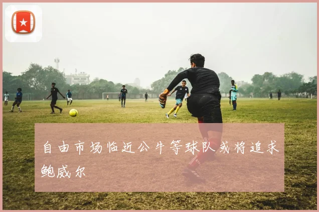 自由市场临近公牛等球队或将追求鲍威尔