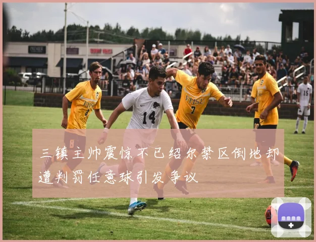 三镇主帅震惊不已绍尔禁区倒地却遭判罚任意球引发争议